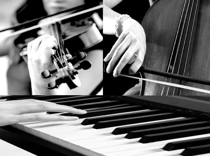 Aaron Topfer Live Wedding Ceremony Music | AaronTopfer.com